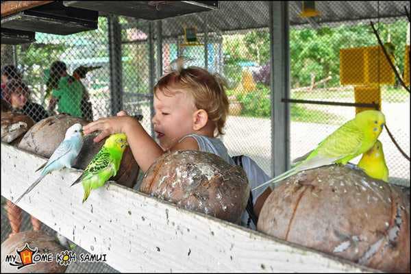 Paradise Park Farm на Самуи