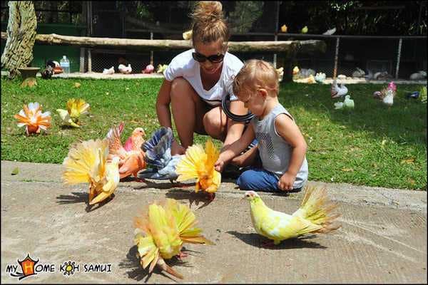 Paradise Park Farm на Самуи