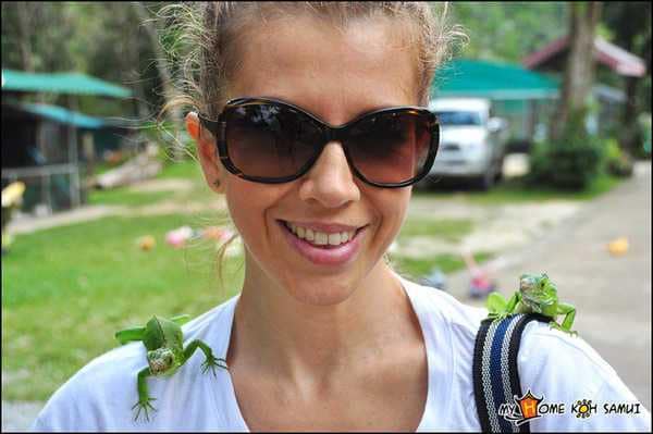 Paradise Park Farm на Самуи