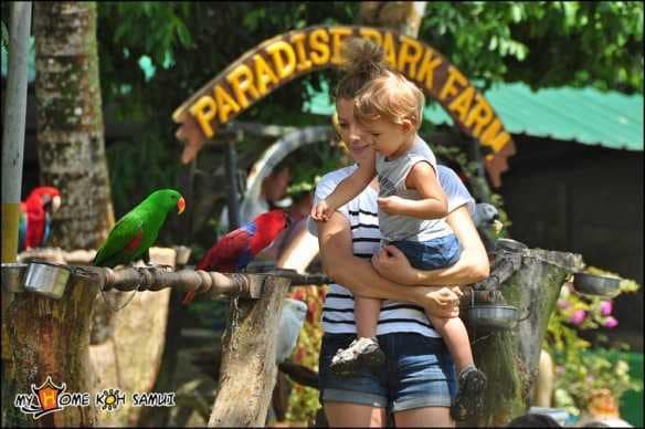 Paradise Park Farm на Самуи
